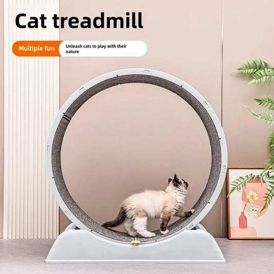Cat Fitness Fun Treadmill