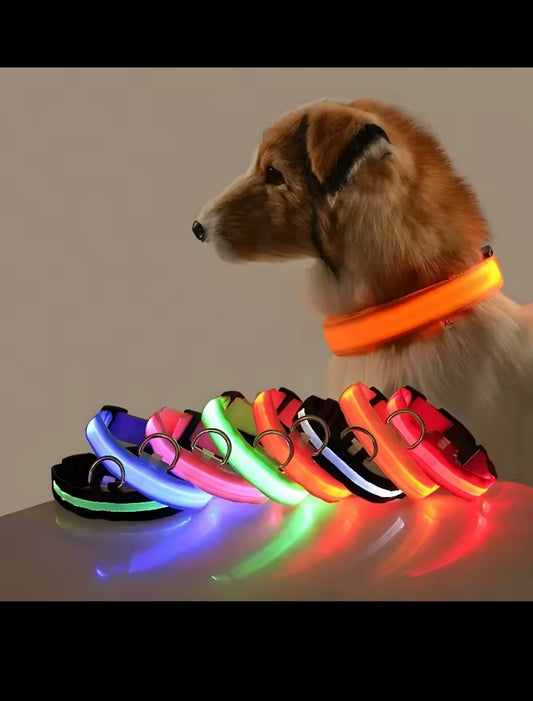 Light-Up Dog Collar – LED Night Safety