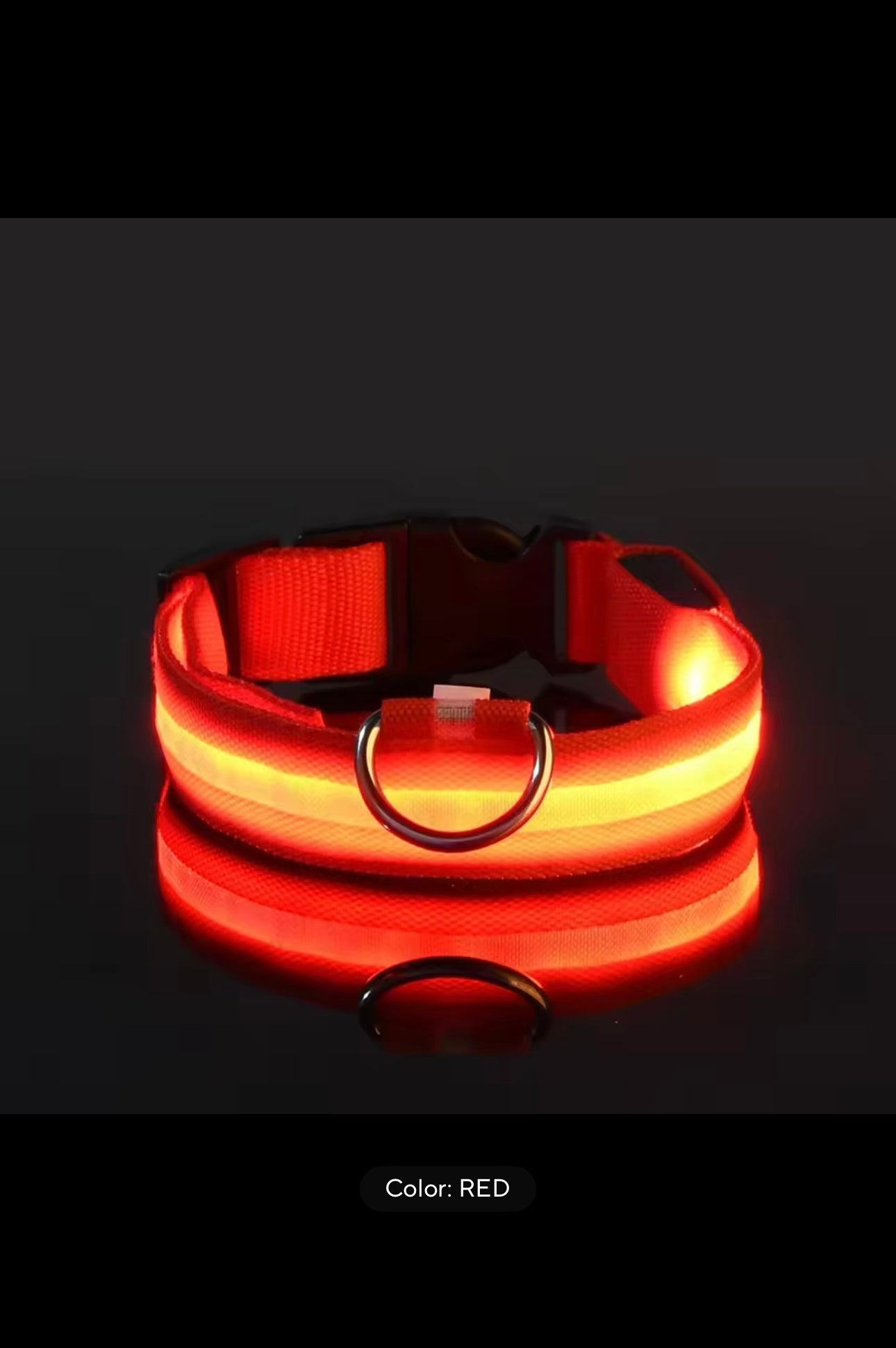 Light-Up Dog Collar – LED Night Safety