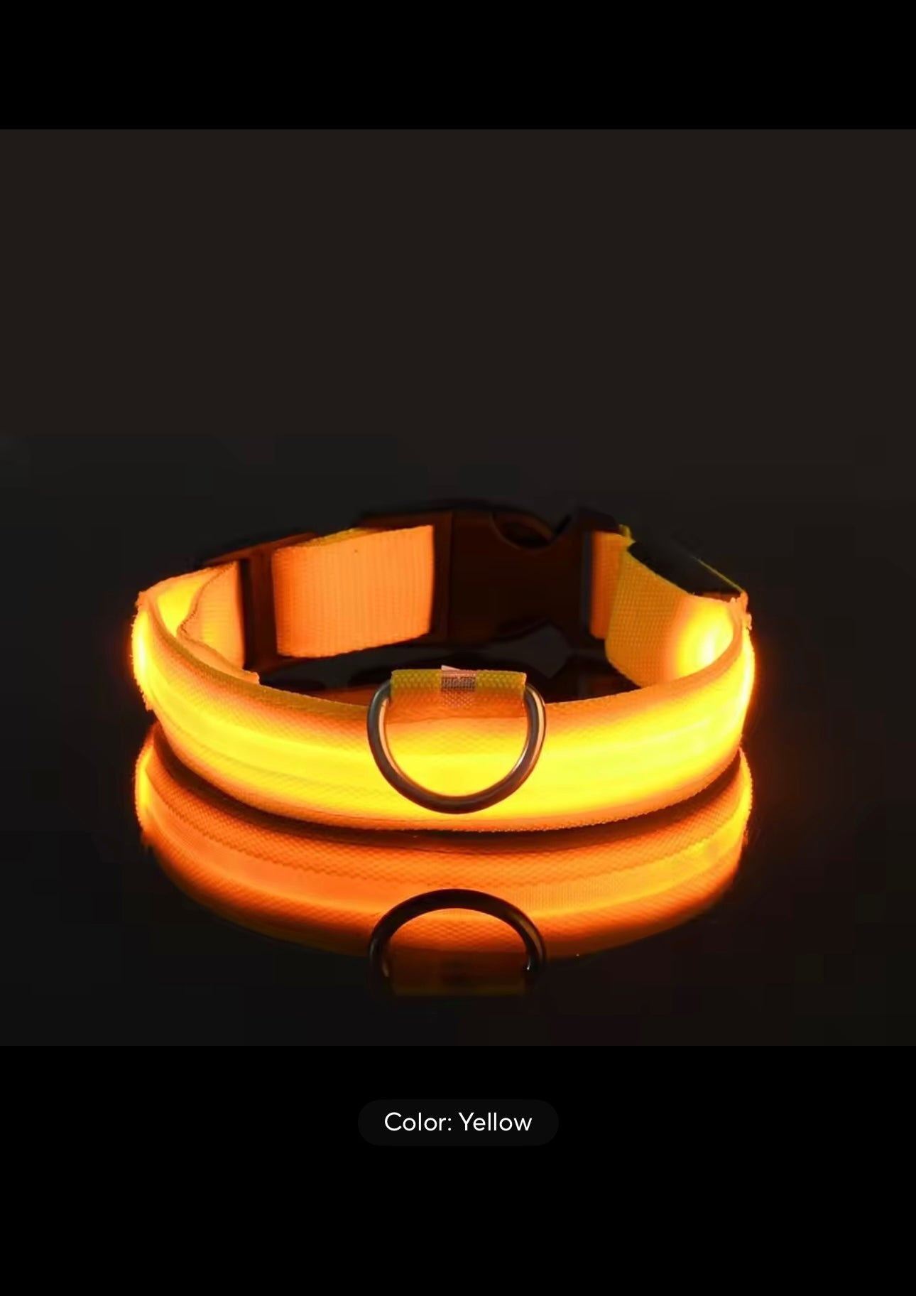 Light-Up Dog Collar – LED Night Safety