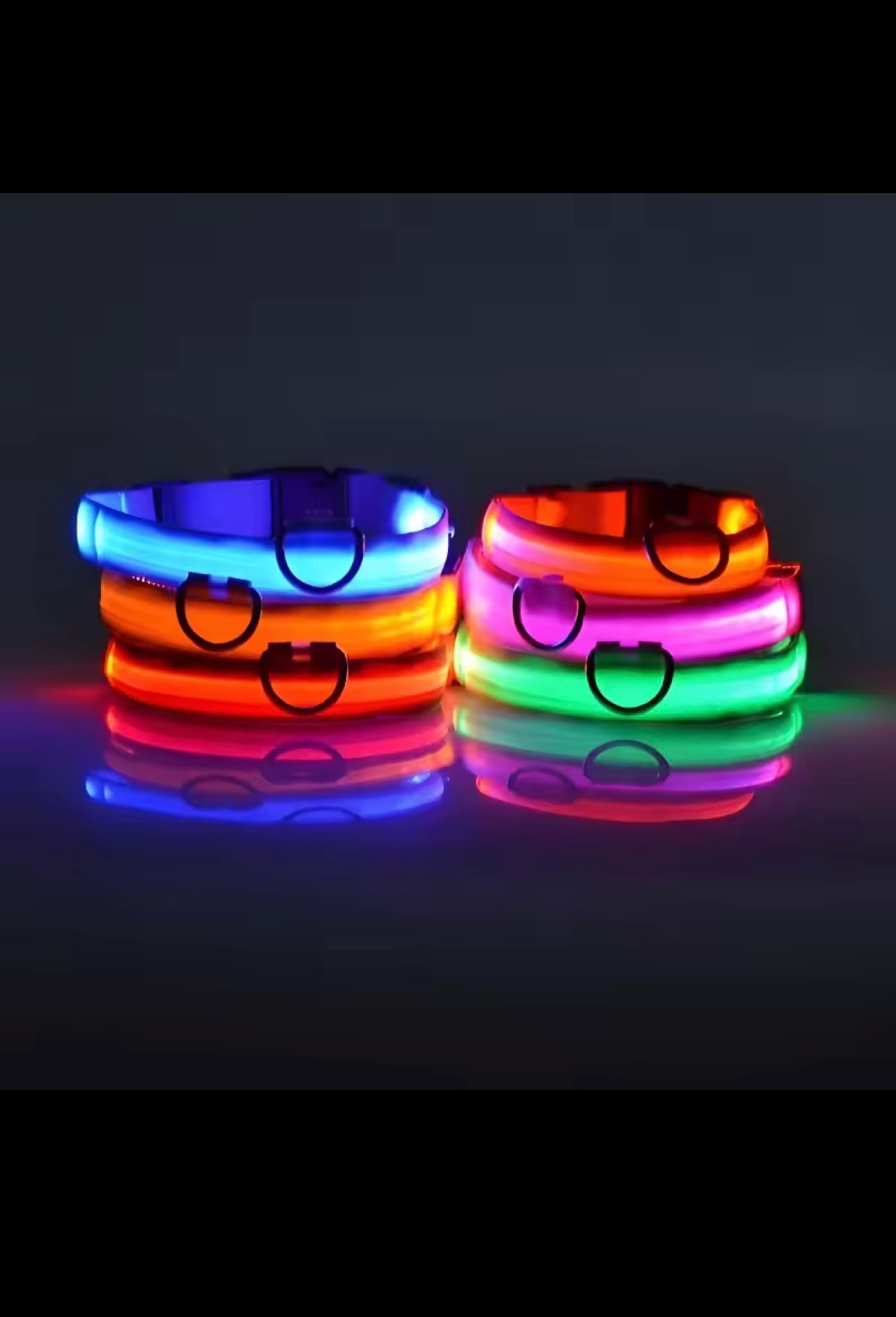 Light-Up Dog Collar – LED Night Safety