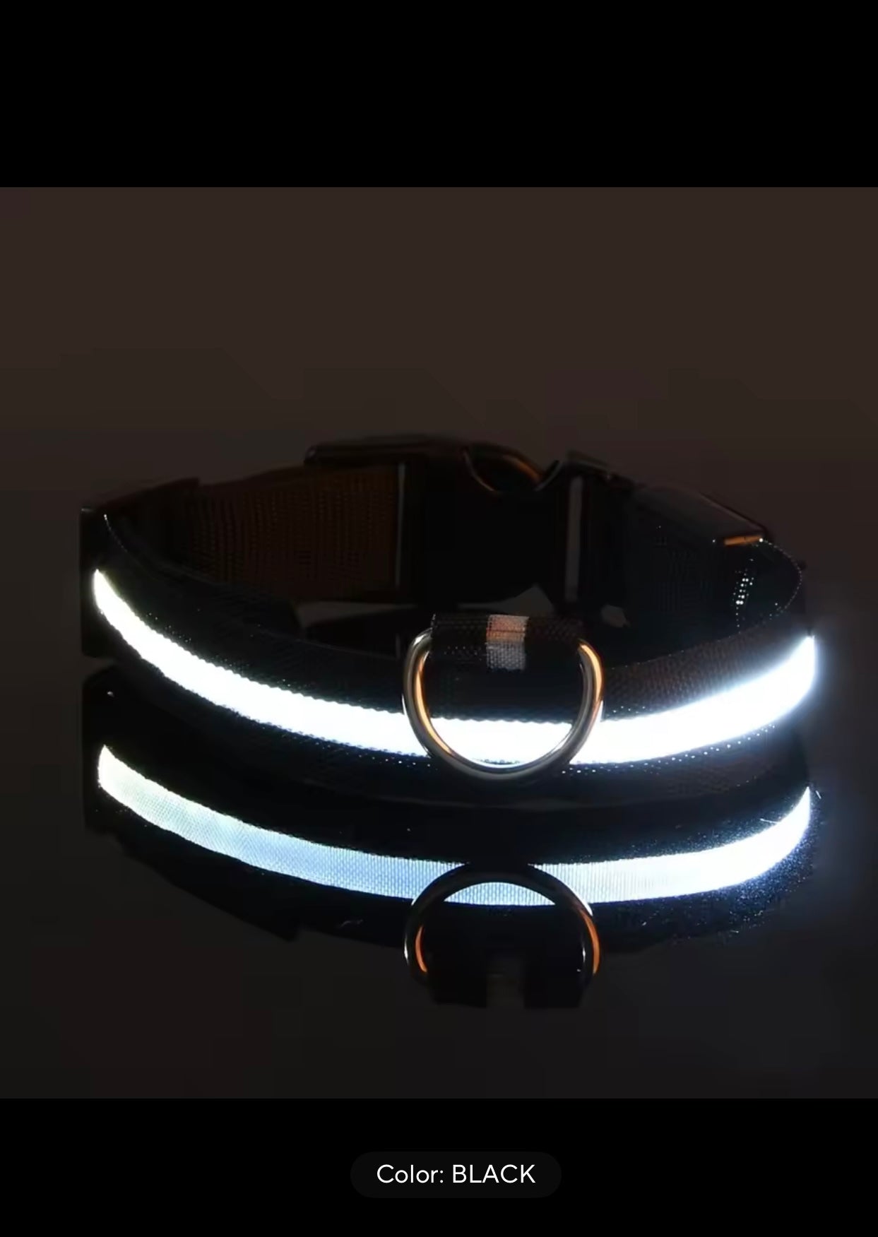 Light-Up Dog Collar – LED Night Safety