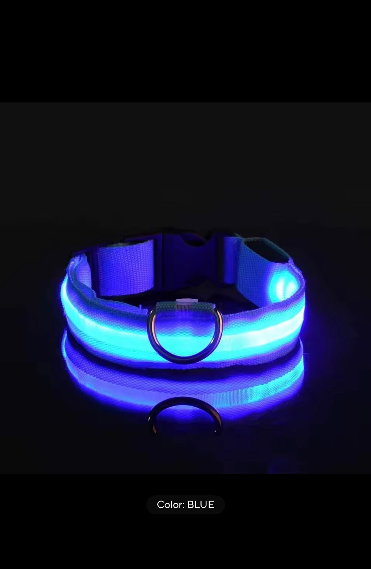 Light-Up Dog Collar – LED Night Safety