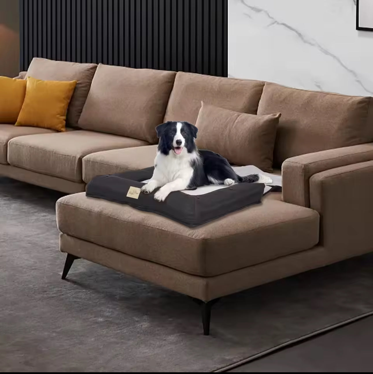 🐶🚗 Portable Dog Car Seat Bed

The perfect travel companion for your furry friend — safe, cozy, and ready for any road trip! 🐾