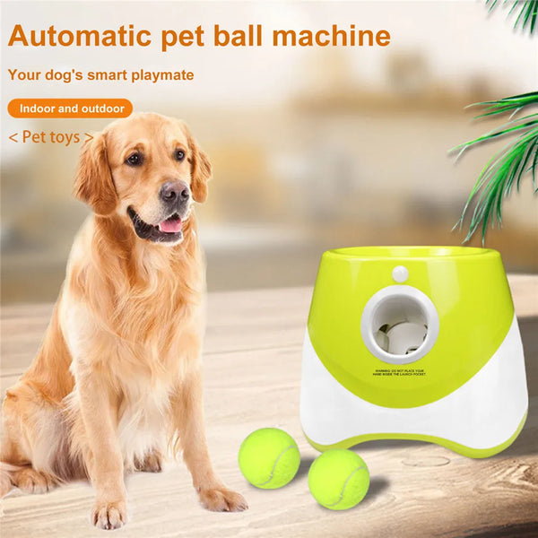 Automatic Tennis Ball Launcher