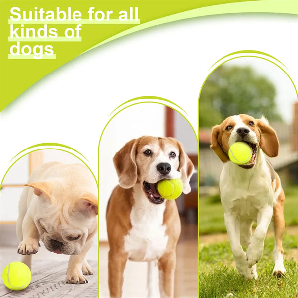 Automatic-Dog-Ball-Launcher-Toy-Tennis-Ball-Throwing-Machine-with-3-5cm-Ball-10-20-30.jpg