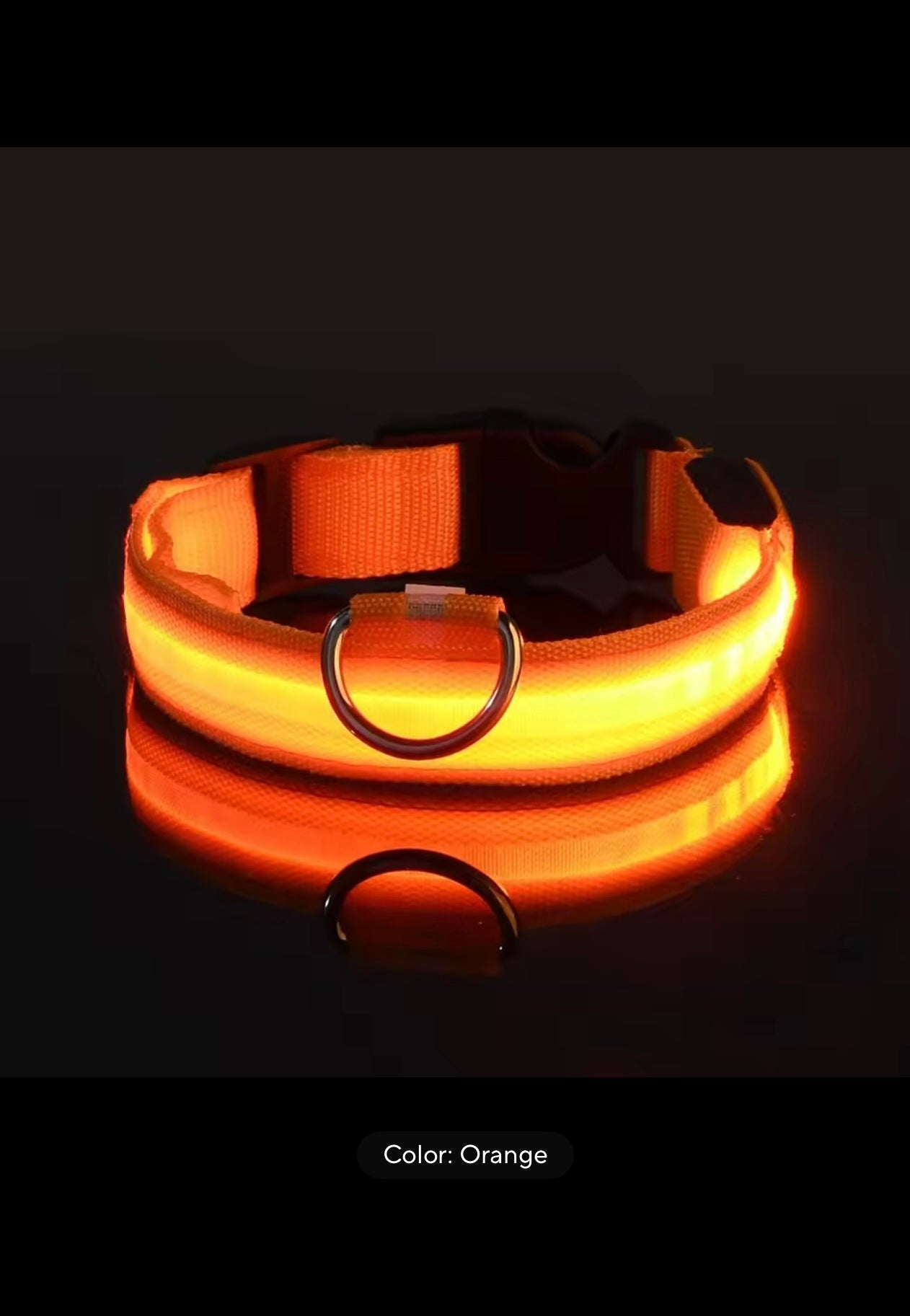 Light-Up Dog Collar – LED Night Safety
