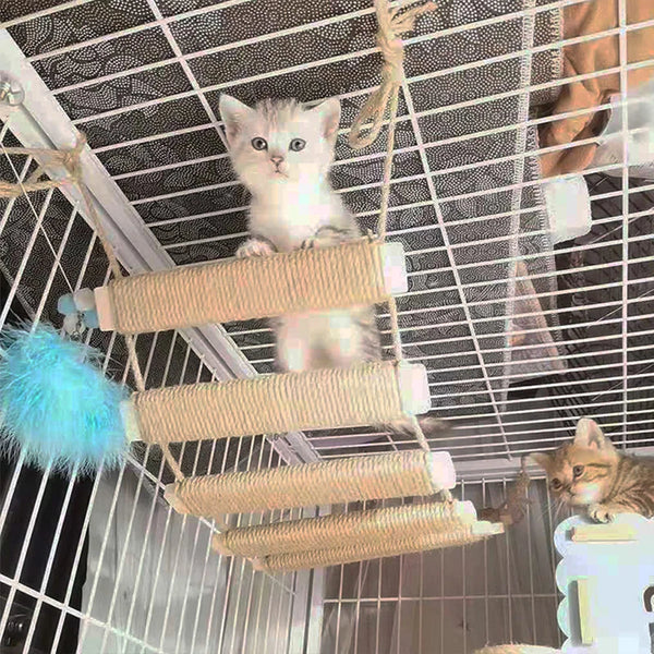 Ultimate Cat Jungle Gym