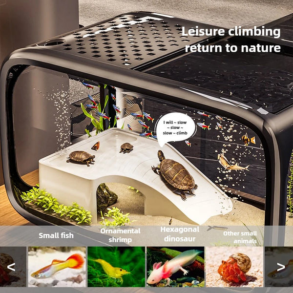 Eco-Friendly Fish Tank Oasis