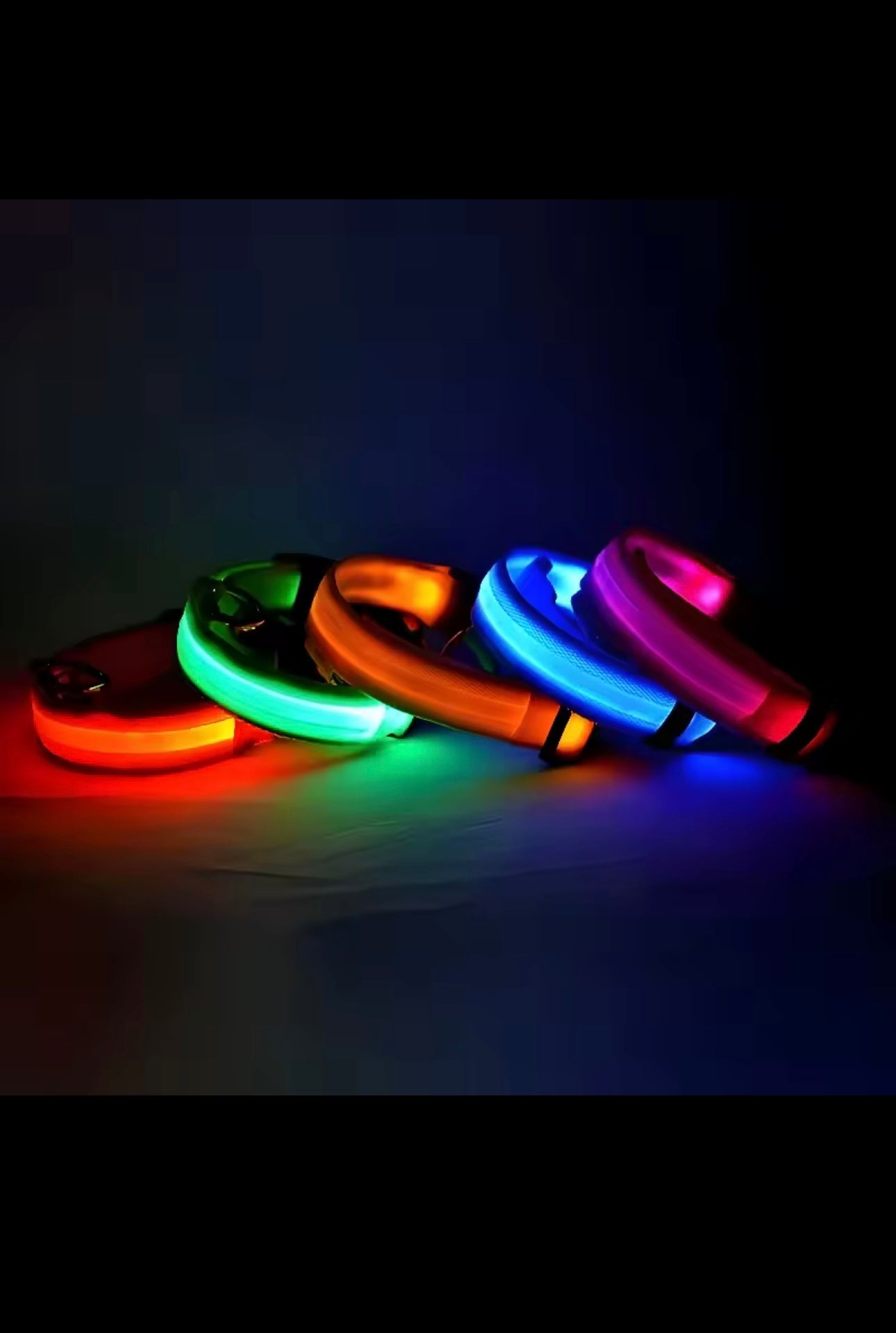 Light-Up Dog Collar – LED Night Safety