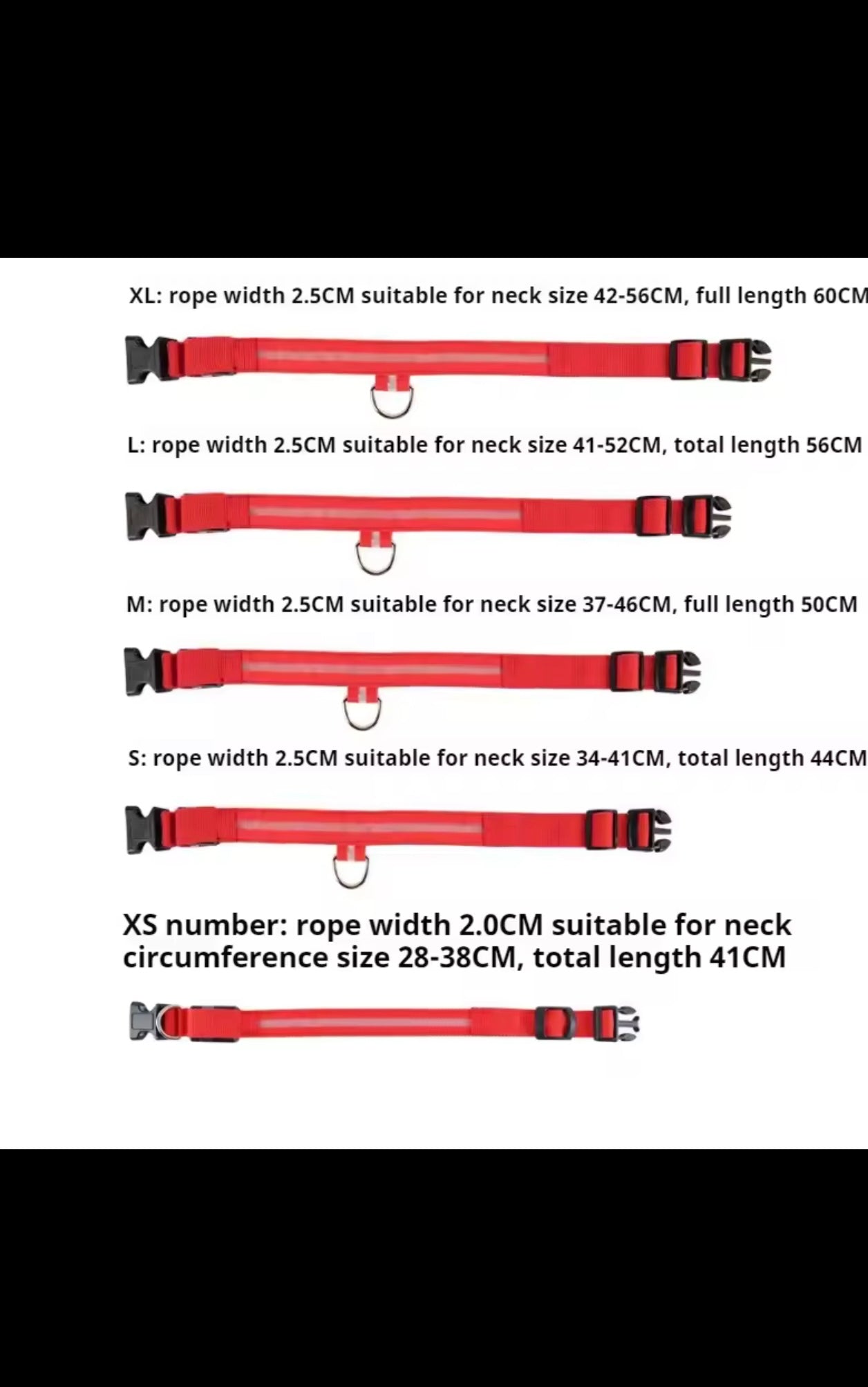 Light-Up Dog Collar – LED Night Safety