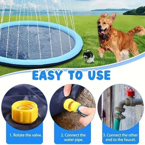 Splash & Play Dog Pool