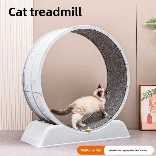 Cat Fitness Fun Treadmill