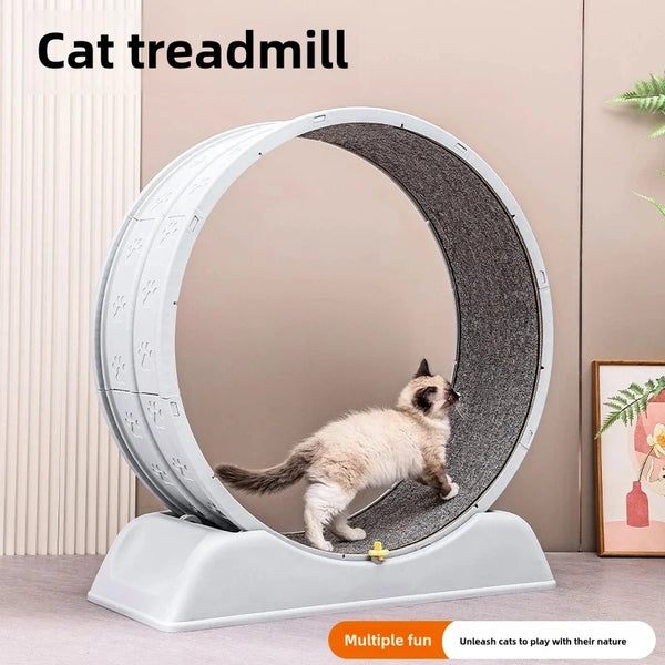 Product placeholder
