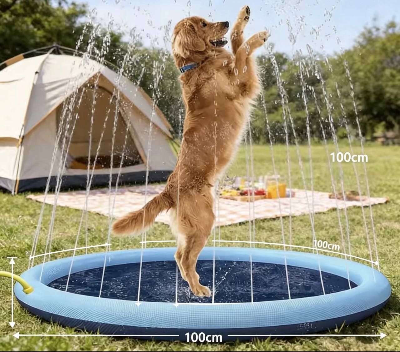 Splash & Play Dog Pool