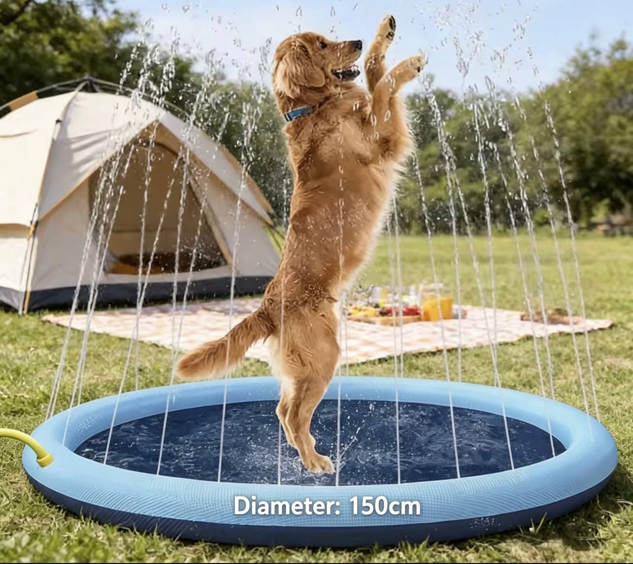 Splash & Play Dog Pool