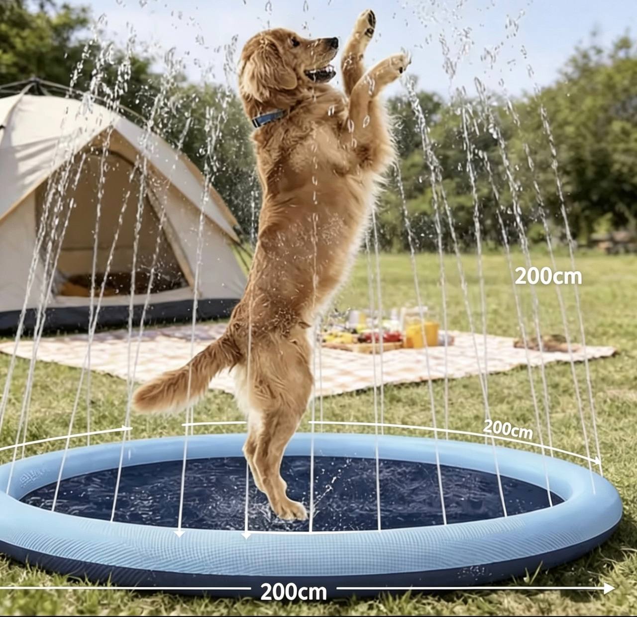 Splash & Play Dog Pool